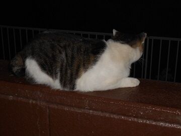 9月24日（19-15）仮