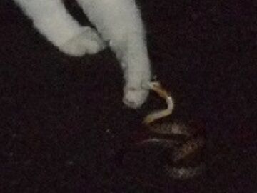 6月22日(58)使用 - コピー