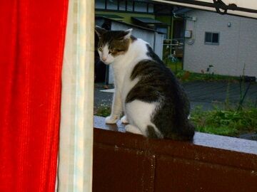 10月20日（19）仮