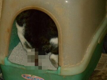 9月13日（5-15）仮