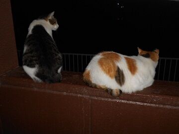 9月21日（20-20）仮