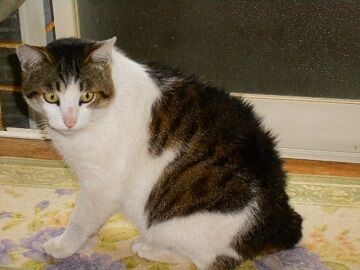 5月10日（41）仮