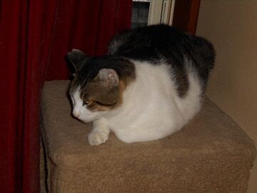 9月26日（6-15）仮