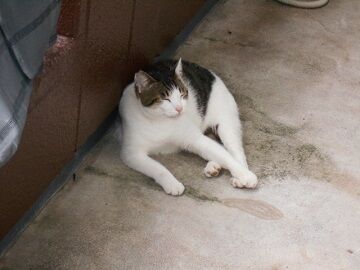 9月14日（14-3）仮