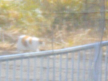 3月21日　13-41-3使用