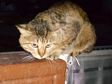 6月25日（48）仮