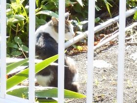 6月13日（16）仮