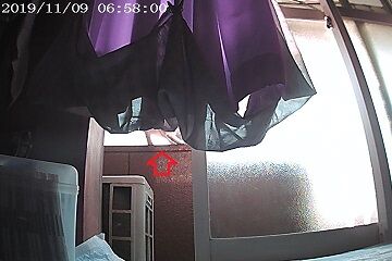 11月9日（10）仮