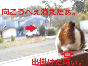 2月28日(25.5))仮