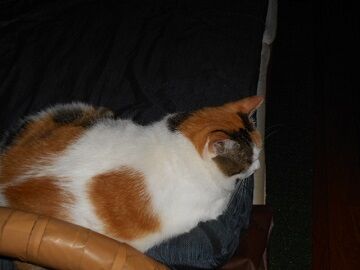 9月20日（19-11）仮