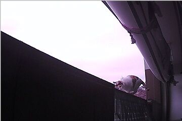 12月30日（22.55）仮