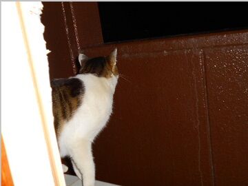 1月22日（67）仮