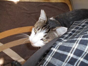 9月30日（7-25）仮