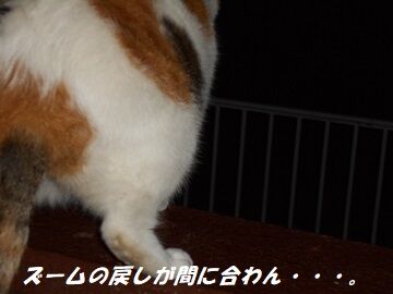 9月30日（23-9）仮