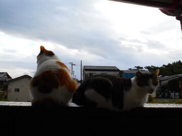 10月22日（6）仮