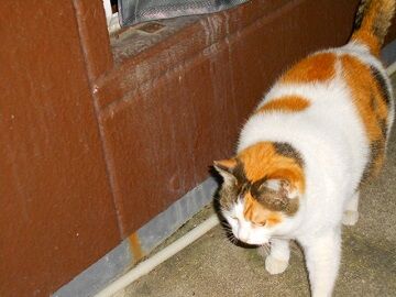 3月24日（24）仮