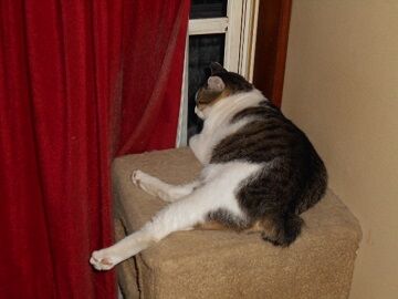 9月20日（20-2）仮