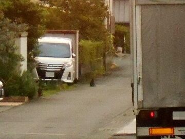 9月19日（5-1）仮