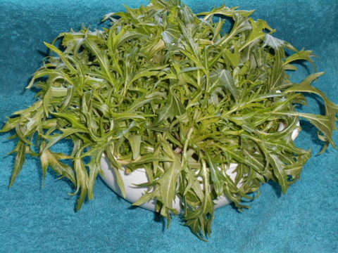 DSCN0127