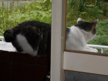 7月31日（67）仮