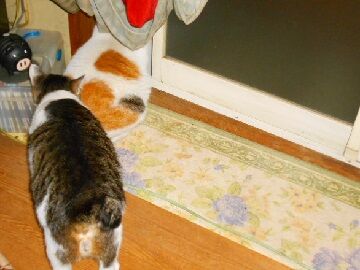 5月10日（49）仮