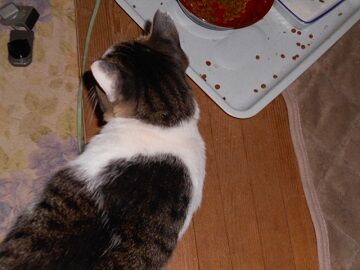 10月4日（22-2）仮