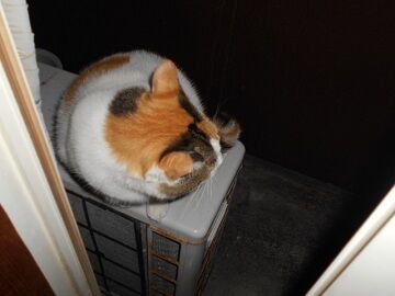 10月2日（20-18）仮