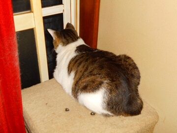 5月25日（23）仮