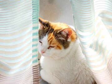 5月24日（15）仮