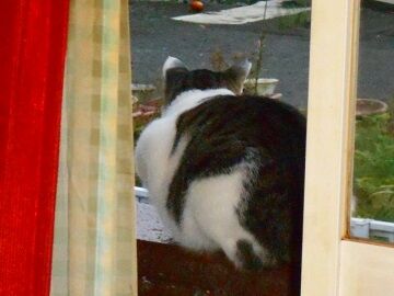 10月29日（1）仮