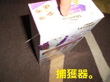 2月10日（57）仮