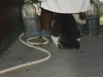 9月4日（128）仮