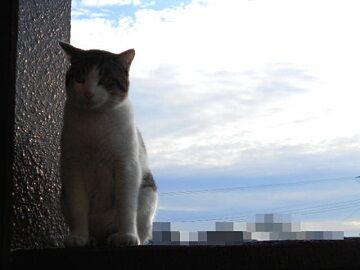 0319-11仮