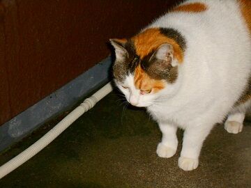 3月29日（34）仮