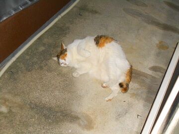 12月13日（14）仮