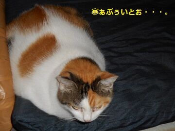 9月21日（5-10）仮