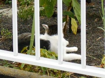 8月28日（115）仮