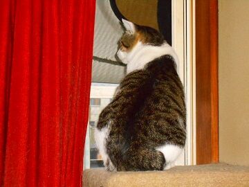 10月18日（10）仮