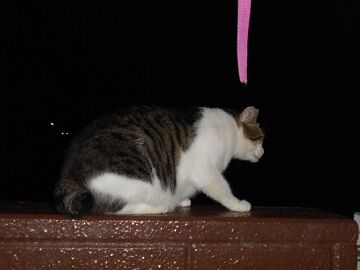 9月12日（22-9）仮