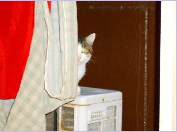 10月18日（3）仮