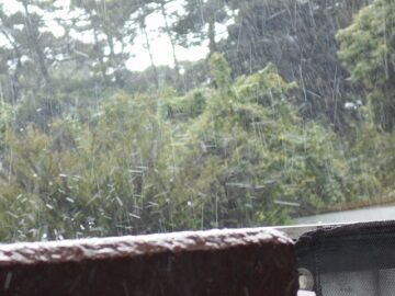 9月7日（10-3）仮