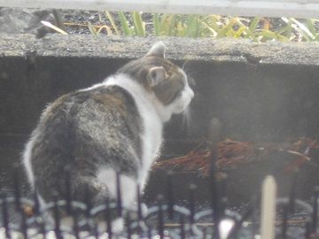 3月1日(18)