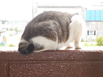 7月16日(23)