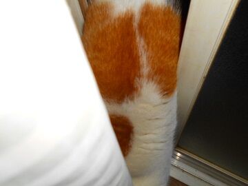 3月29日（42）仮