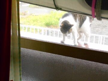 4月13日（57）仮