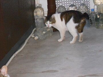 5月19日（37）仮