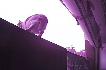 12月30日（5.6）仮