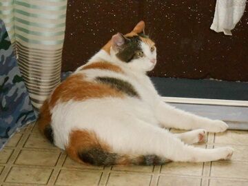 8月30日（37）仮