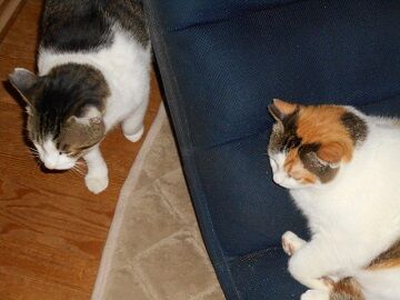 9月28日（21-3）仮