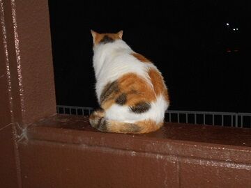 9月17日（2-13）仮